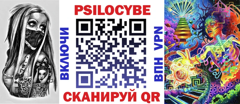 где продают Городец Галлюциногенные грибы Psilocybe